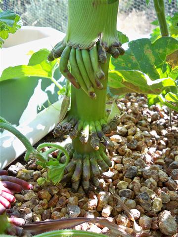 100_0617 (Small).JPG