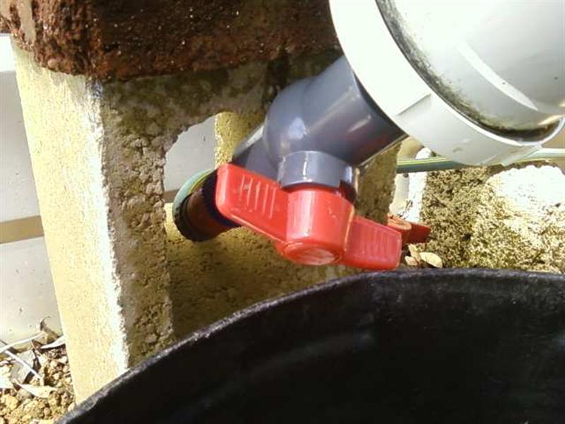 Photo0158 (Medium).jpg