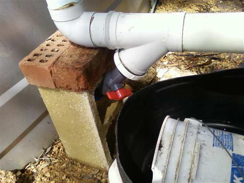 Photo0157 (Medium).jpg