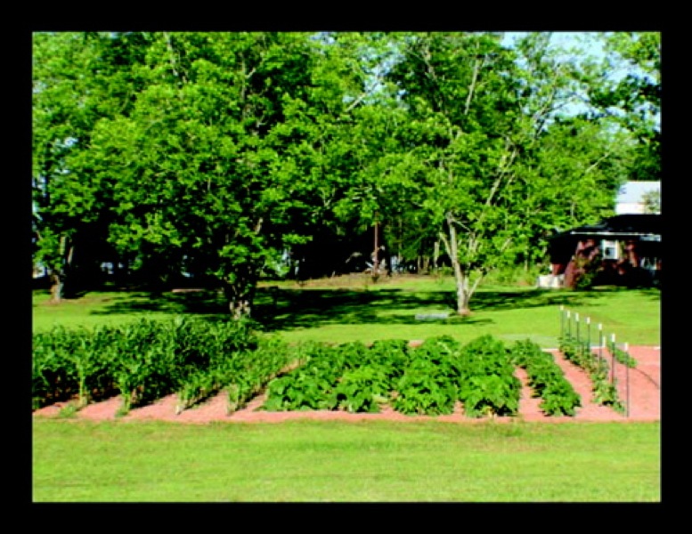 paul pics01633_2.jpg