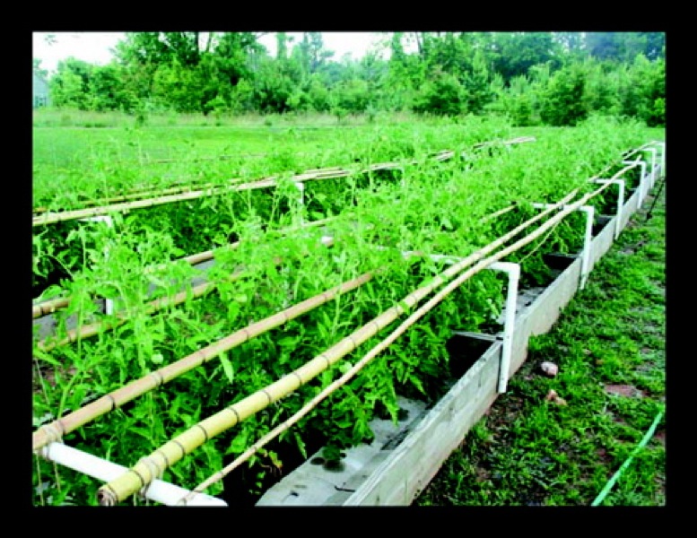 paul pics02556_1.jpg