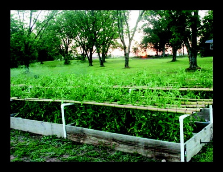 paul pics02664_2.jpg