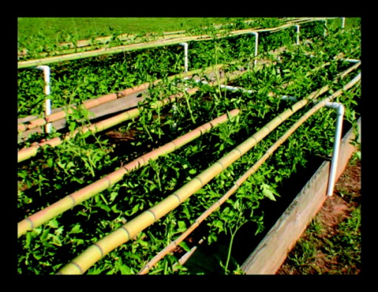 paul pics02968_2.jpg