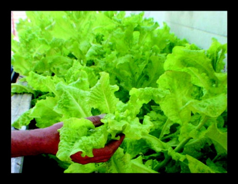 paul pics02773_2.jpg