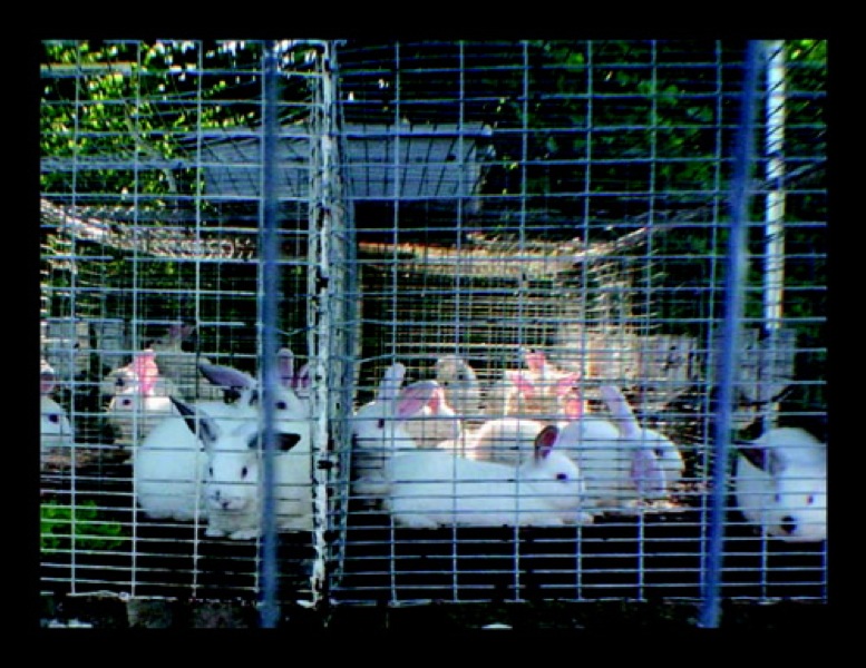 paul pics03178_2.jpg