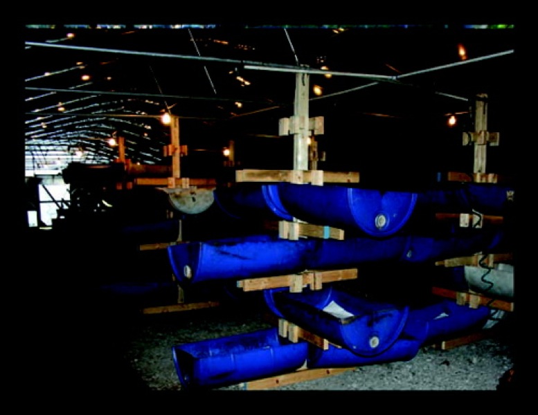 paul pics03295_2.jpg