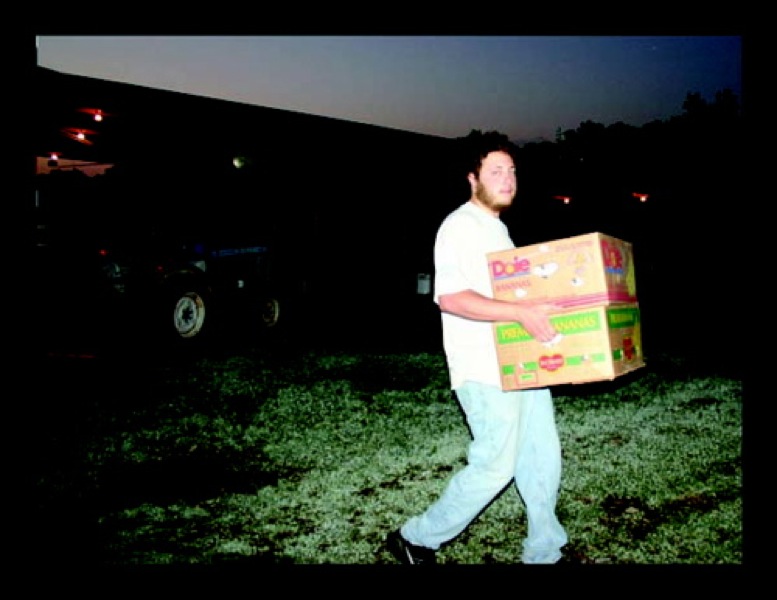 paul pics01420_2.jpg