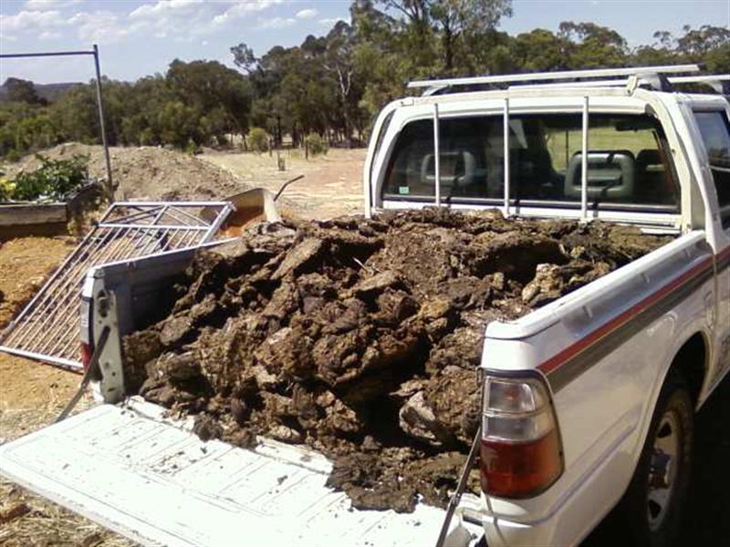 Photo0210 (Medium).jpg