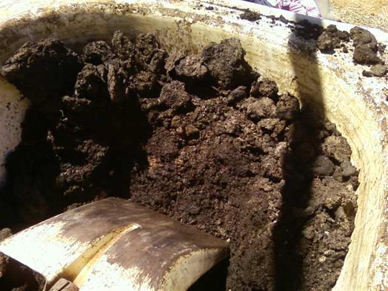 Photo0205 (Medium).jpg