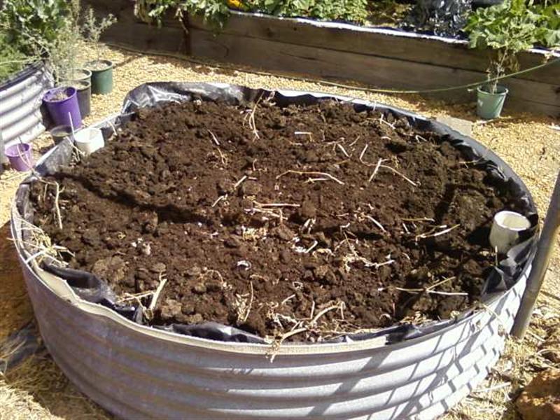 Photo0214 (Medium).jpg