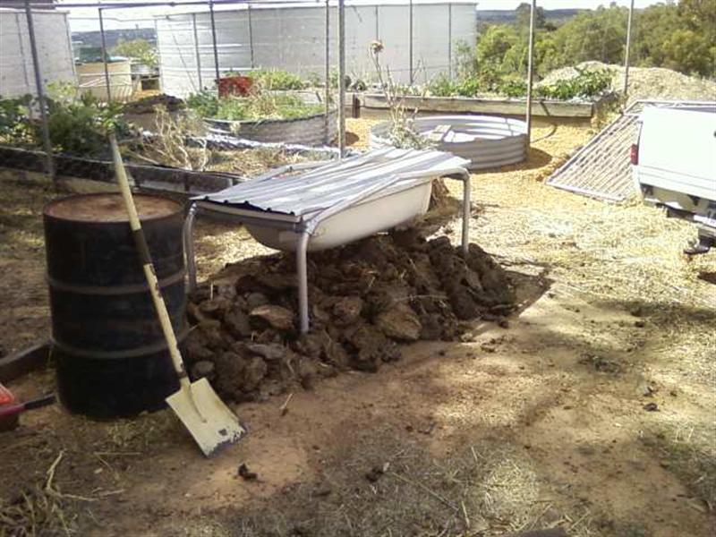 Photo0213 (Medium).jpg