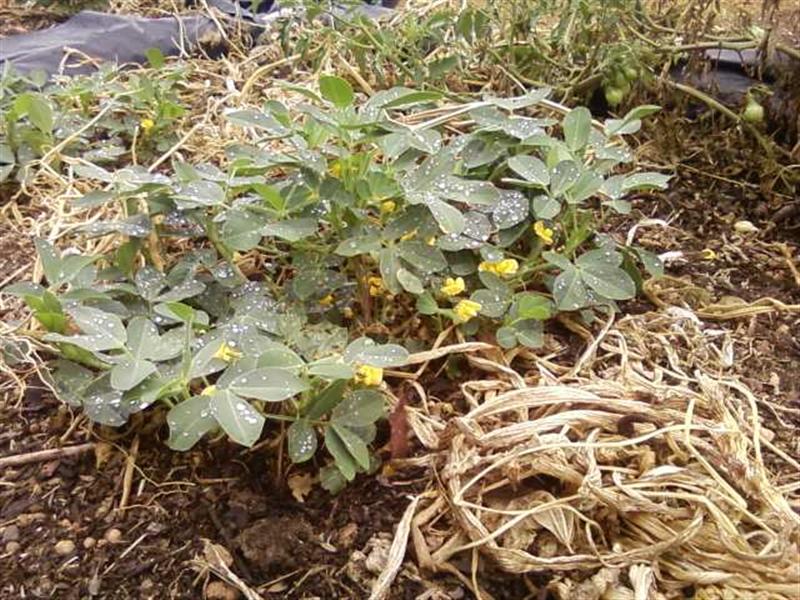 Photo0180 (Medium).jpg