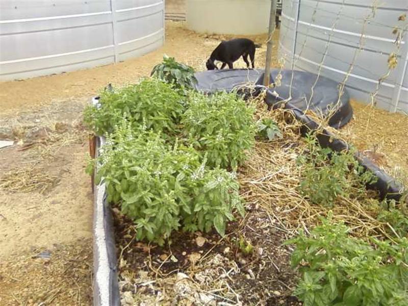 Photo0184 (Medium).jpg