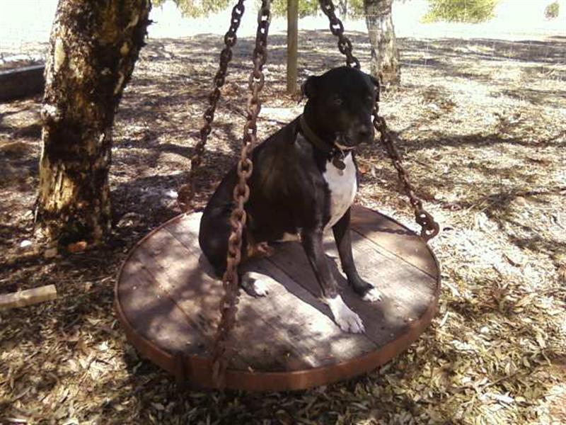 Photo0235 (Medium).jpg