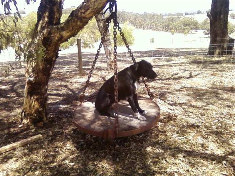 Photo0232 (Medium).jpg