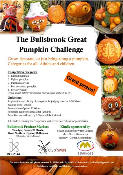pumpkin0brochure a4 final (Medium).jpg