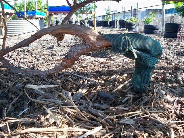 100_0649 (Small).JPG