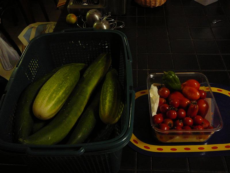 P1040742 (Custom).JPG