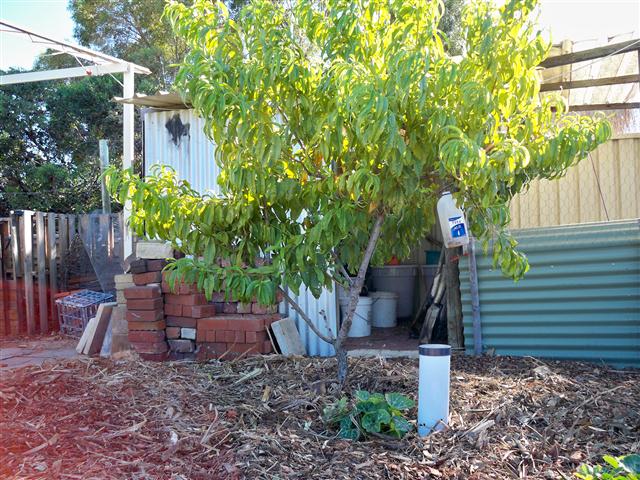 100_0550 (Small).JPG