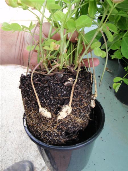 P2200035 (Medium).JPG