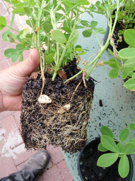 P2200036 (Medium).JPG