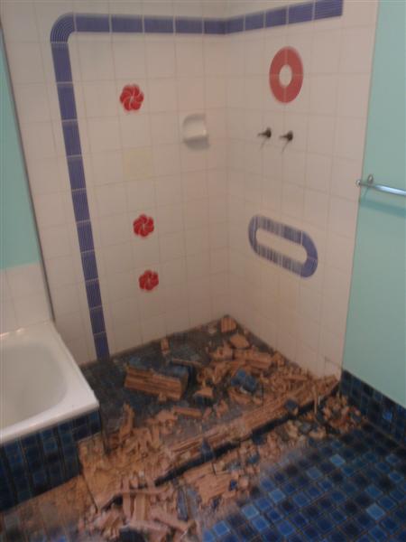 P2240091 (Medium).JPG