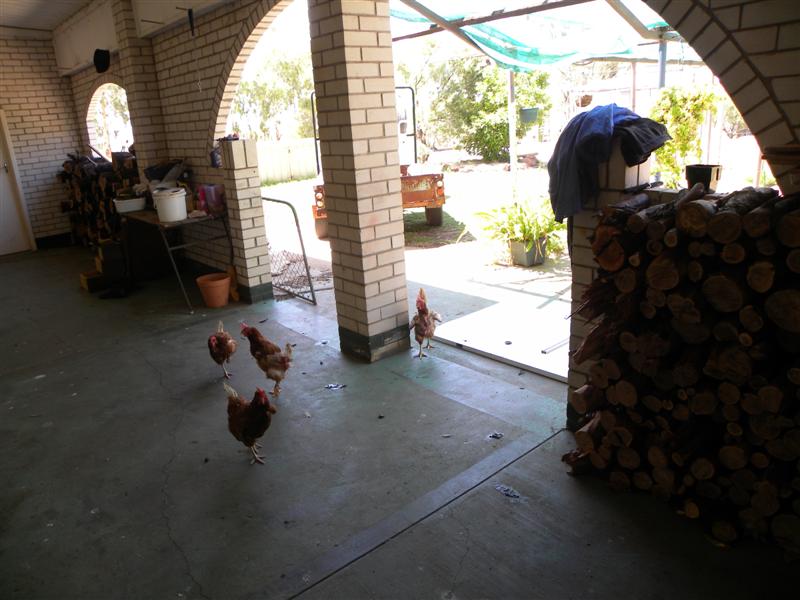 02-11 003 (Medium).jpg