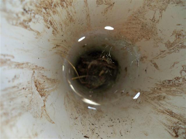 100_0548 (Small).JPG