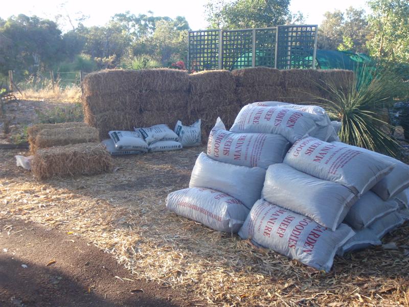 P2280083 (Medium) (2).JPG