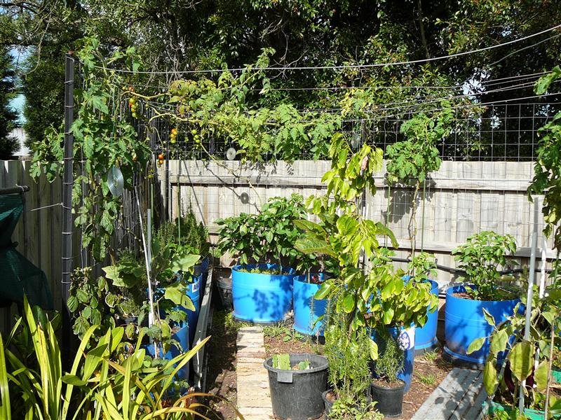 P1040743 (Custom).JPG