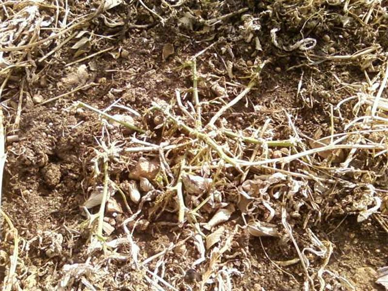 Photo0260 (Medium).jpg