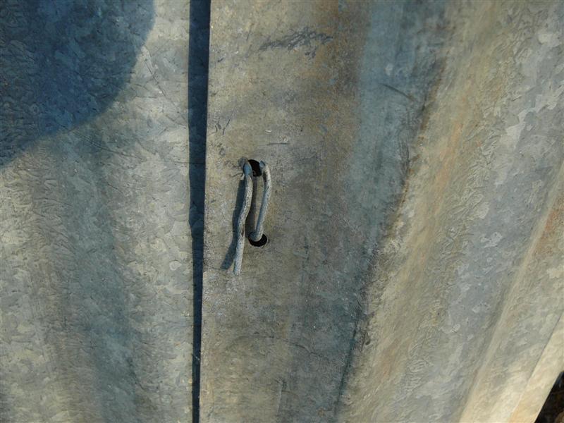 08-01-10 002 (Medium).jpg