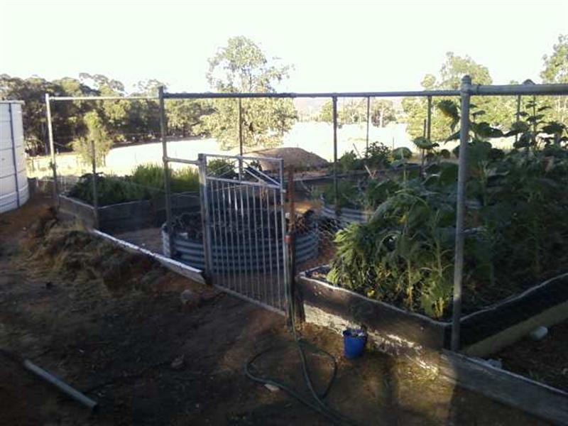 Photo0258 (Medium).jpg