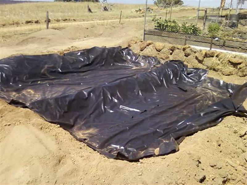 Photo0266 (Medium).jpg