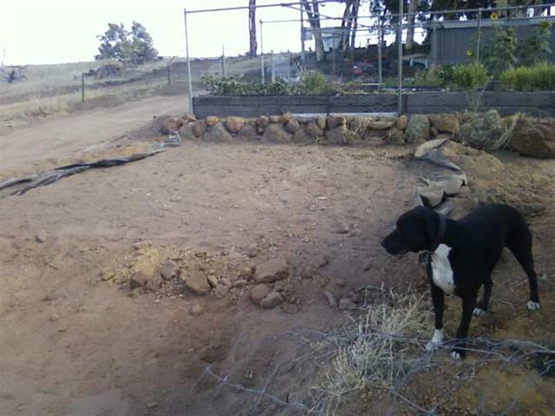 Photo0276 (Medium).jpg