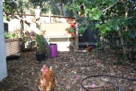 7 March 2011 004_small.jpg