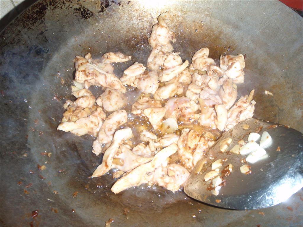 P3080153 (Medium).JPG