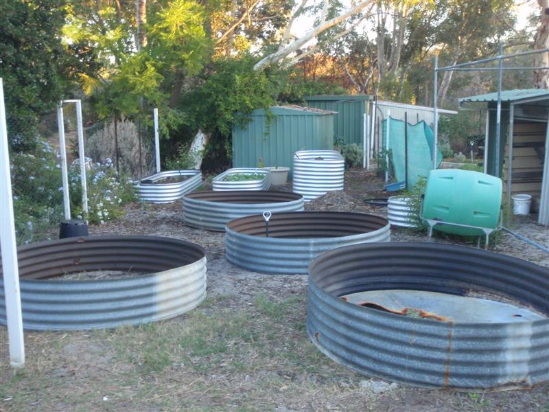 P4050325 (Medium).JPG