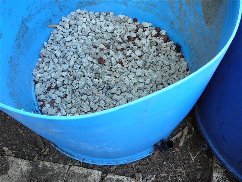 P1040840 (Custom).JPG