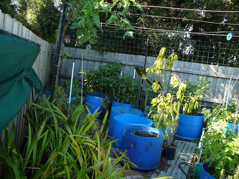 P1040841 (Custom).JPG