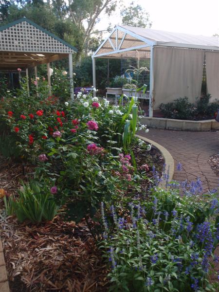 P4100351 (Medium).JPG