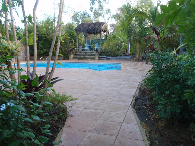 P4100353 (Medium).JPG