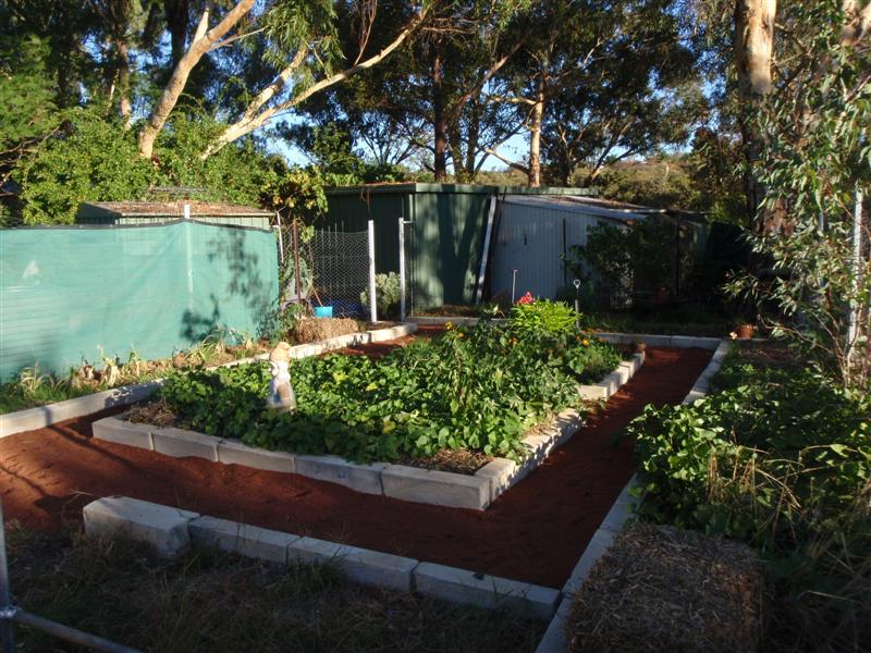 P4130360 (Medium).JPG