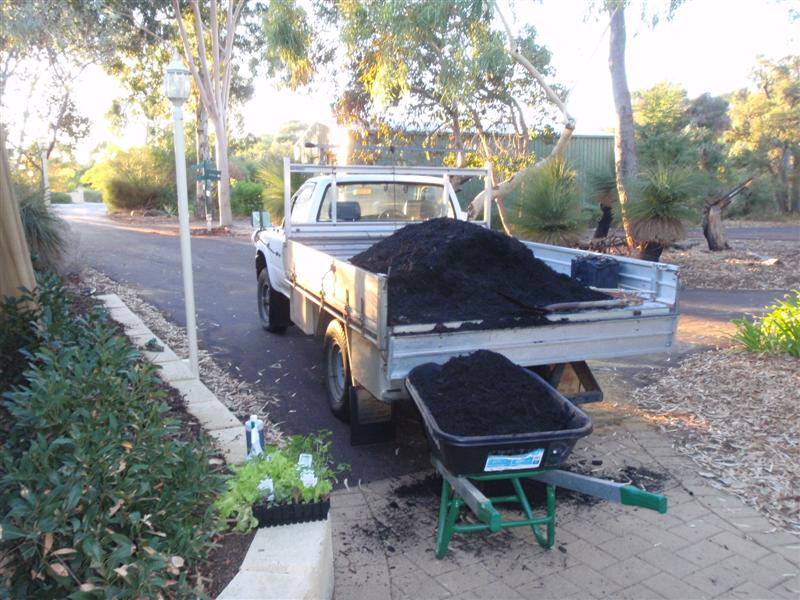 P4140358 (Medium).JPG