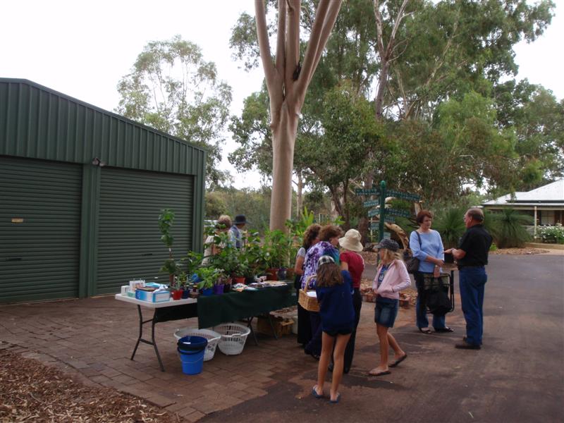 P4170376 (Medium).JPG