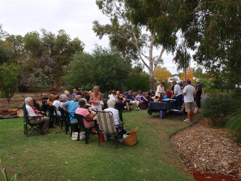 P4170380 (Medium).JPG