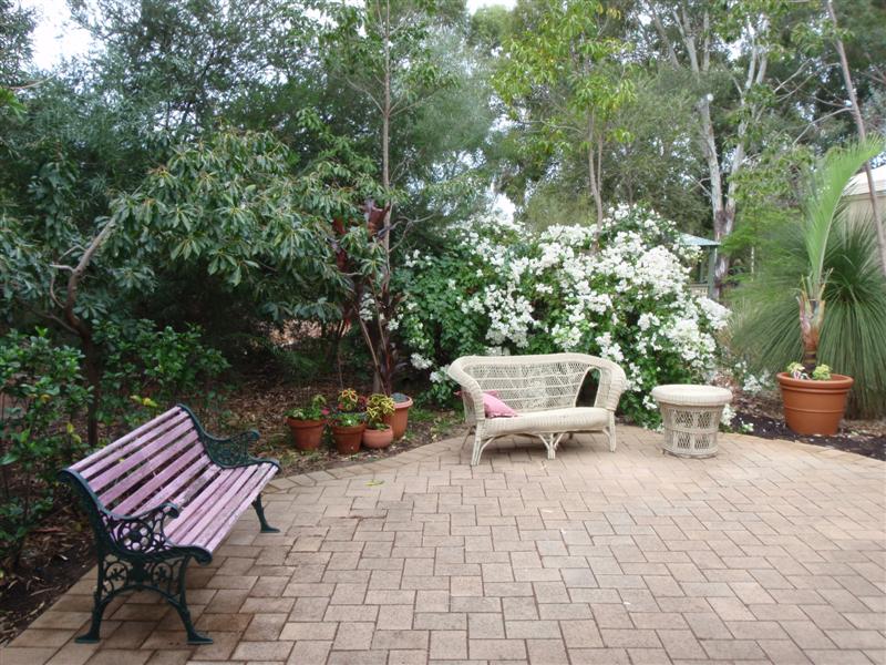 P4170383 (Medium).JPG