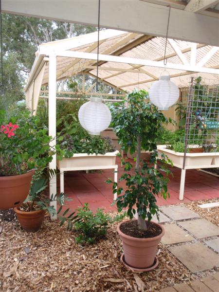 P4170385 (Medium).JPG