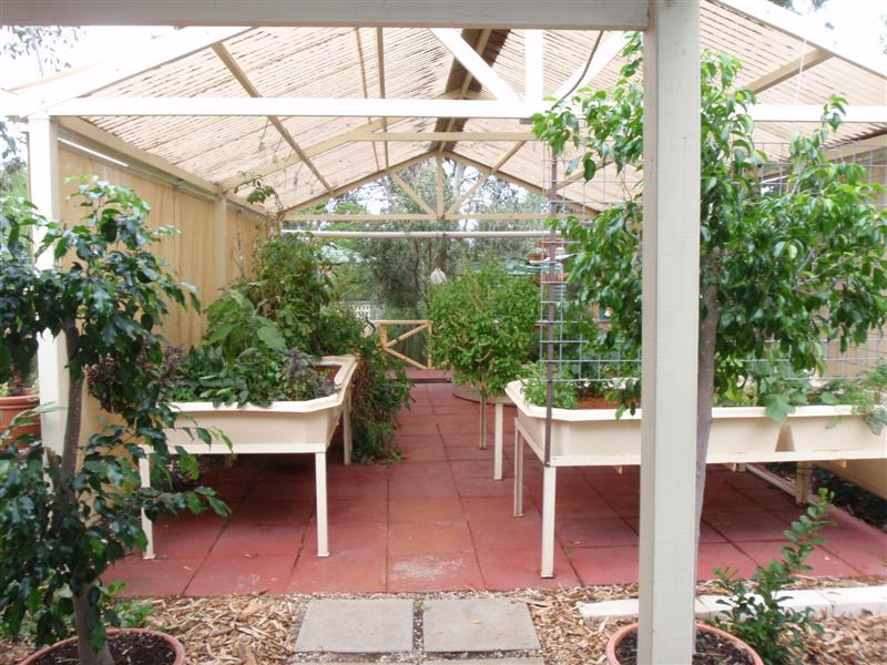 P4170389 (Medium).JPG