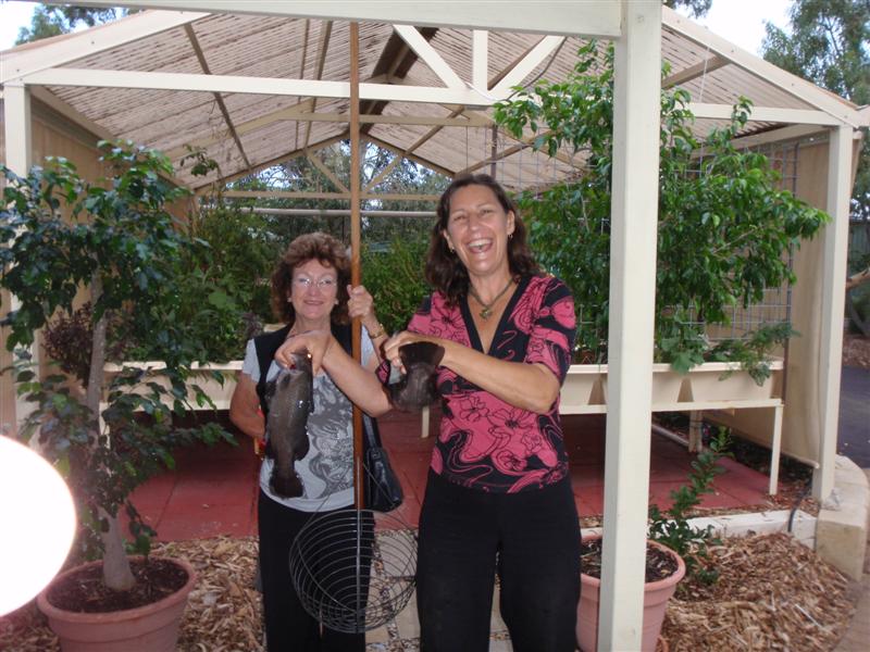 P4170404 (Medium).JPG